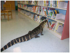 Even Gators Read at KLE